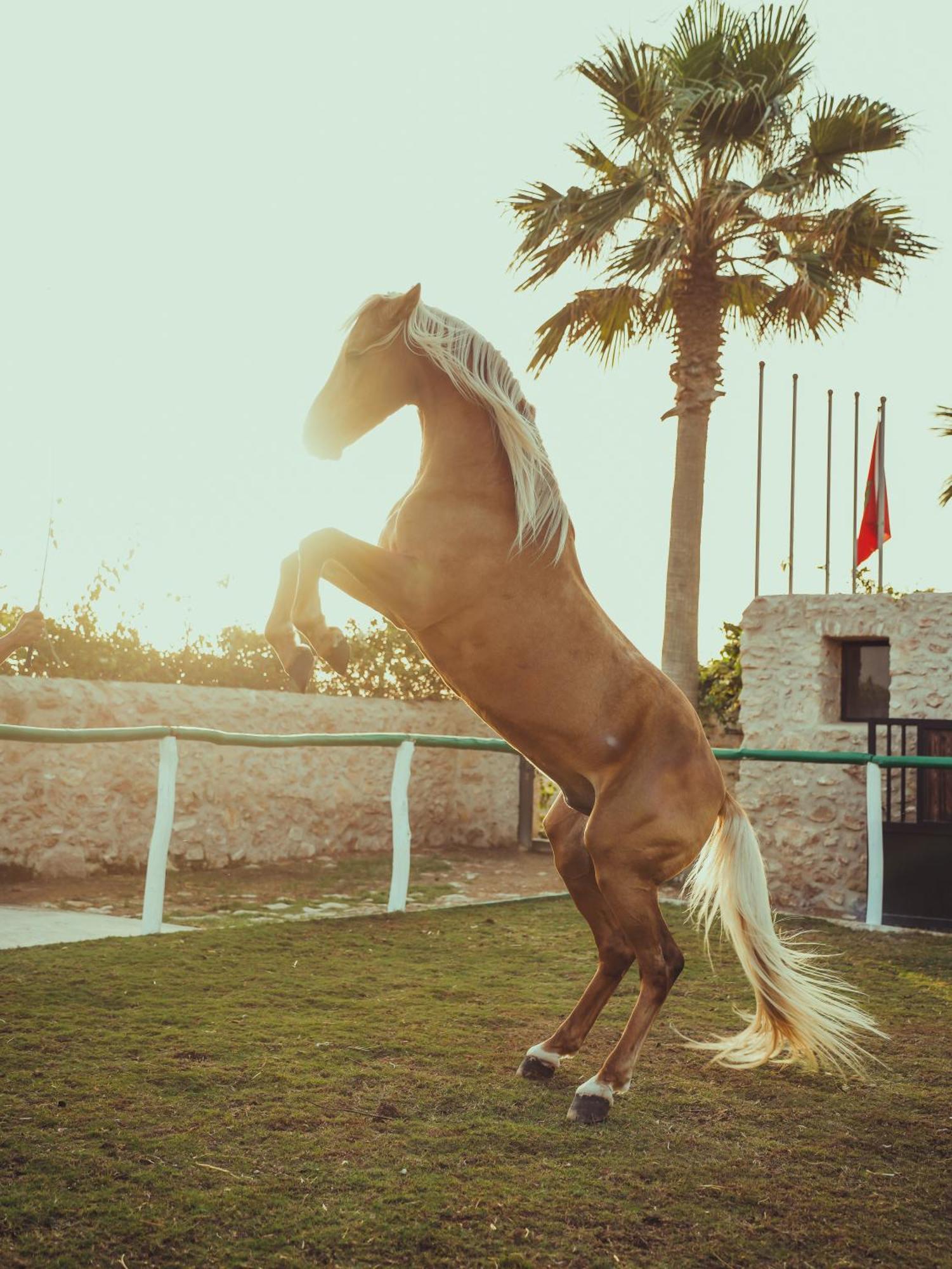 Baberrih Hotel Hospitality Palaces & Resorts الصويرة المظهر الخارجي الصورة
