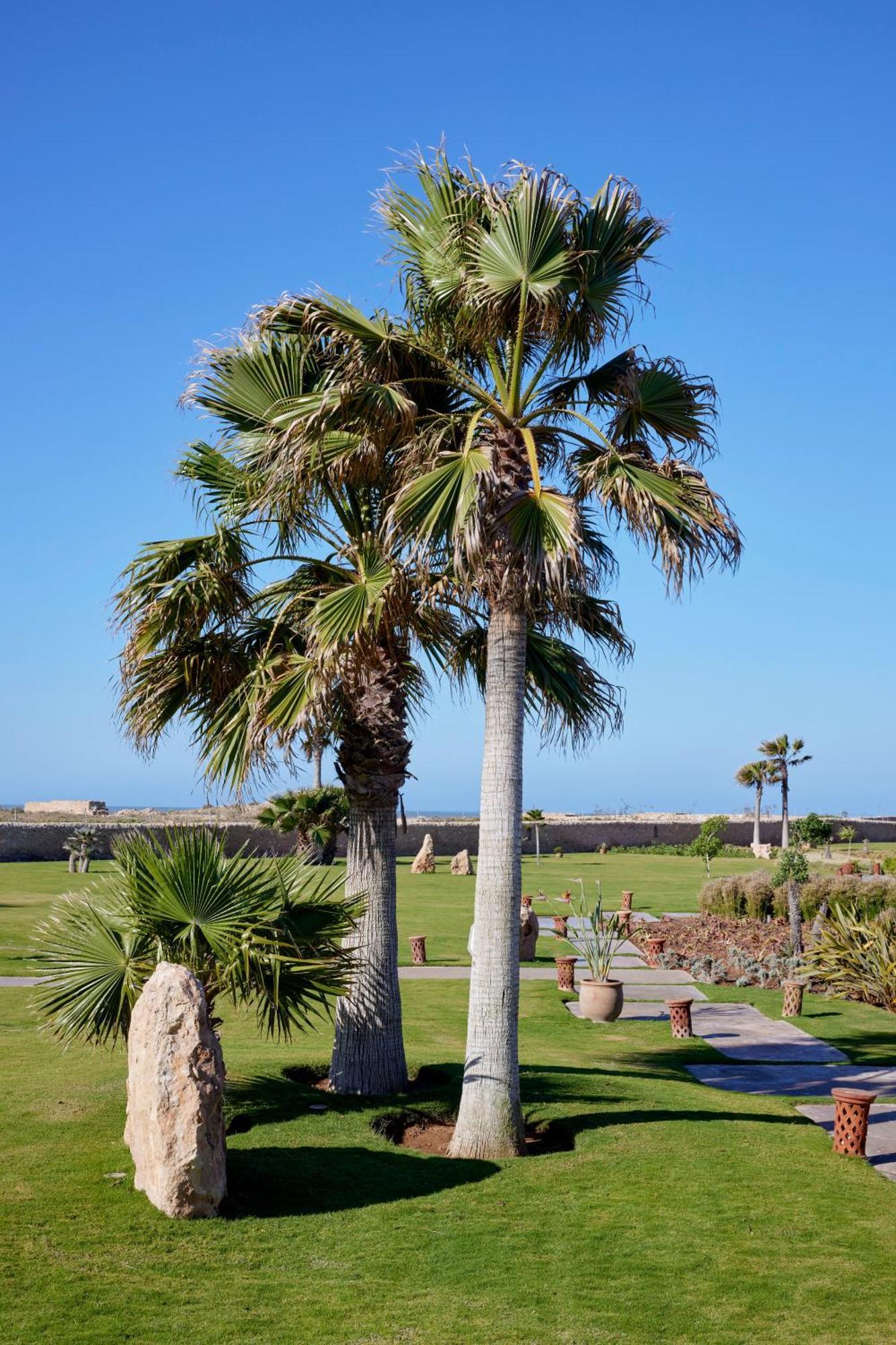 Baberrih Hotel Hospitality Palaces & Resorts الصويرة المظهر الخارجي الصورة